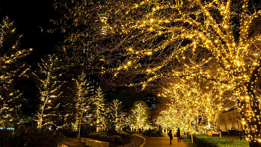 東京ミッドタウンのイルミネーションは、美しいゴールドを基調とした洗練されたデザインが特徴で、暖かい光が冬の夜を優しく照らしてくれています。