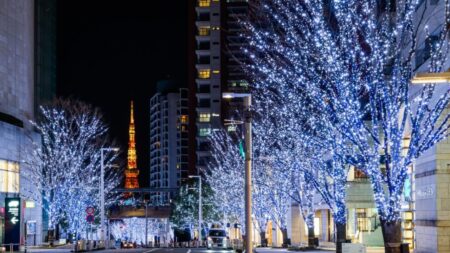 六本木ヒルズ けやき坂イルミネーション